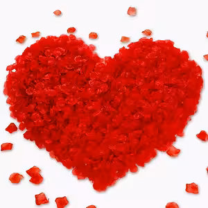 Künstliche rote Rosenblätter – 500 Stück für romantische Dekoration, Hochzeit und Valentinstag