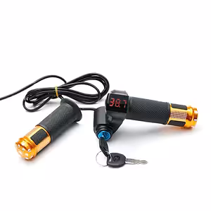 Gashebel mit Kontakt und Schlüssel für E-Bikes und Scooter – Voltanzeige 12V-72V