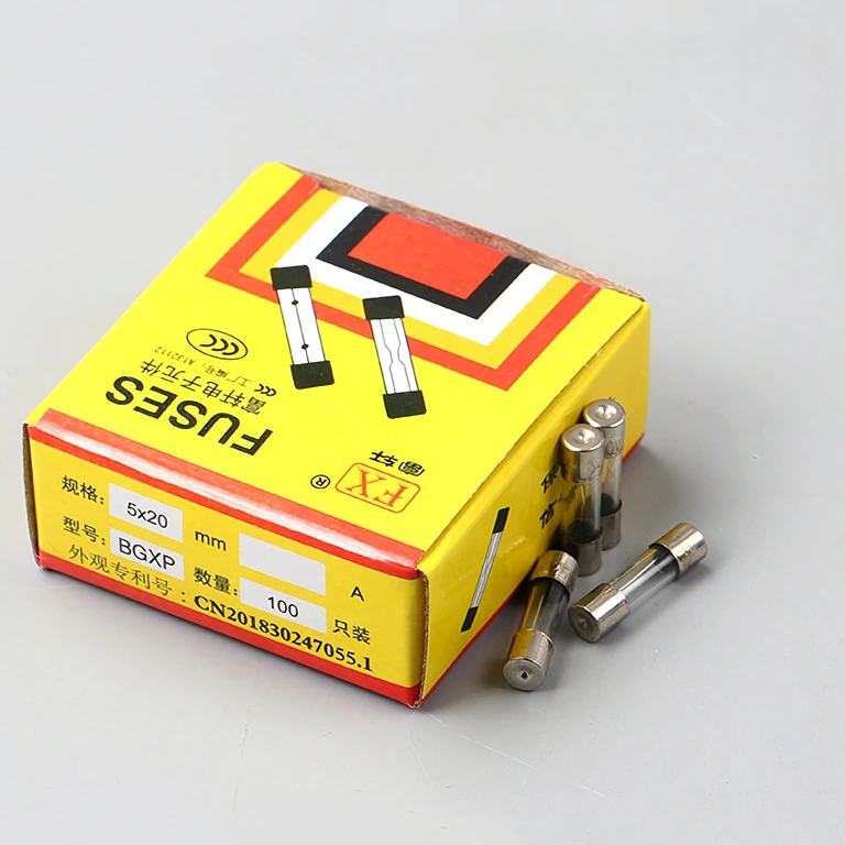 Komplettes Set von 100 Glassicherungen 10A 5x20mm